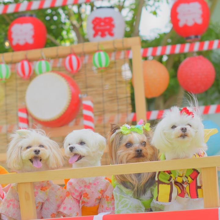 Bbc23140 017a 412d 9bf7 655e524b22c0 1693121375789