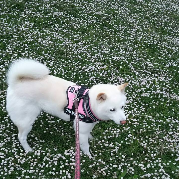 Bbc28935 dd77 4e0d 827f 065094277219 1529057538441