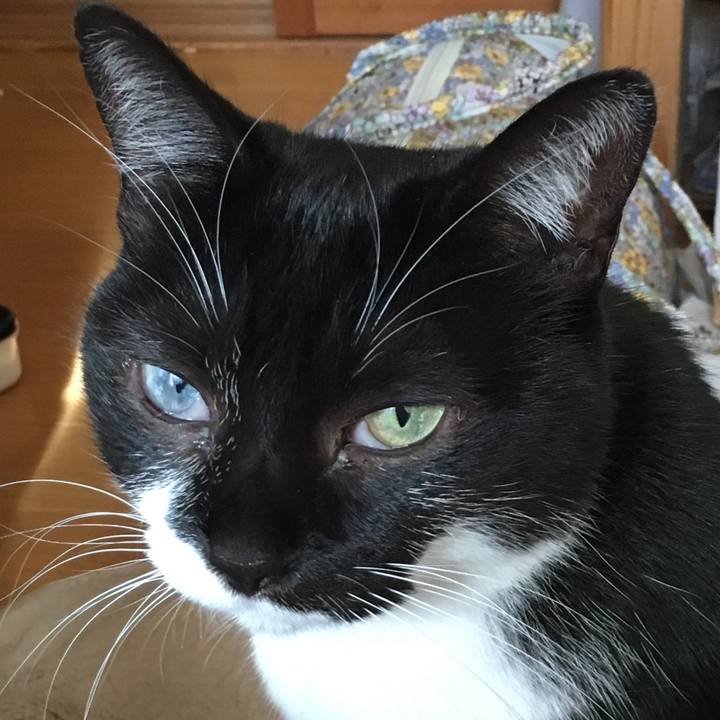 Bbc29dc1 ce01 41c2 9ed3 81c724524964 1513398976089