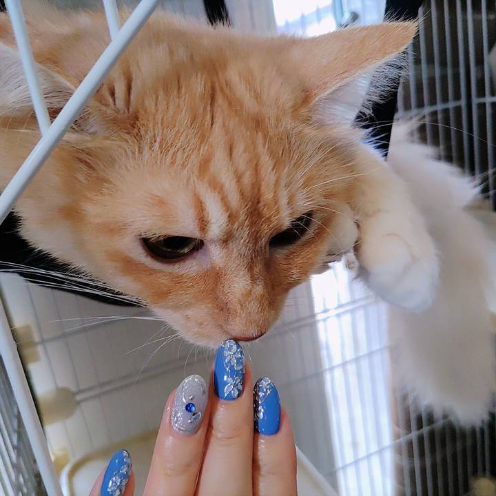 Bbc2c757 9793 4da5 a479 5050c0840e95 1724797018164