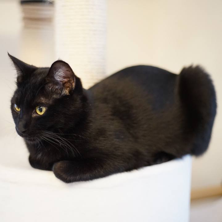 Bbc2e421 cdfe 4c29 ac5d 4a4fe02768c6 1519169438170