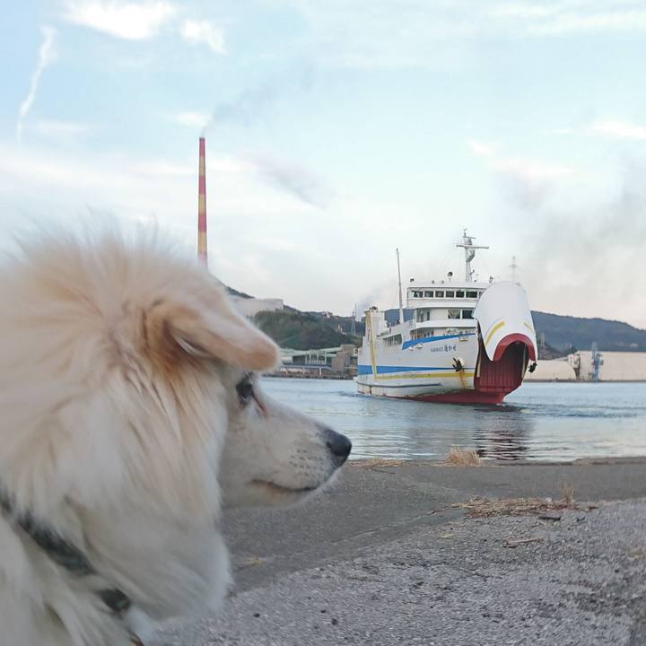 Bbc2eeb4 70be 437a ada1 edf797d2ecb4 1541579756844