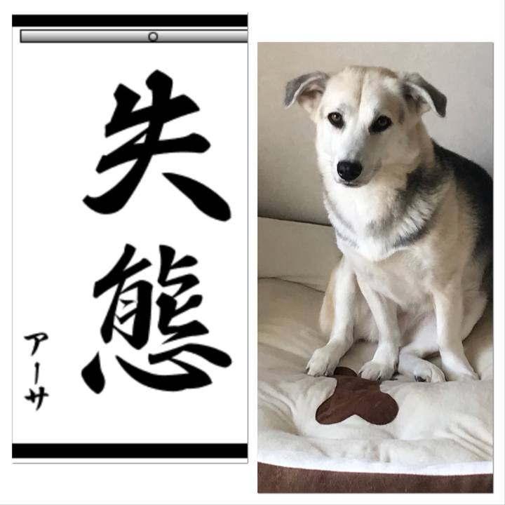 Bbc2f904 fe72 44b5 864f 8a023d5effd2 1546693873022