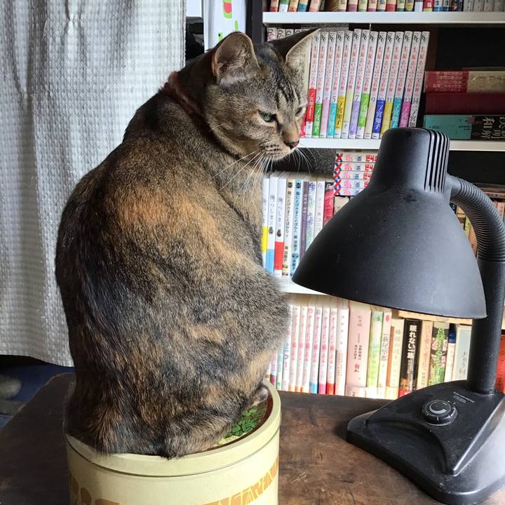 Bbc33294 f0a7 4aee 8232 5eba72d2977a 1632476198039