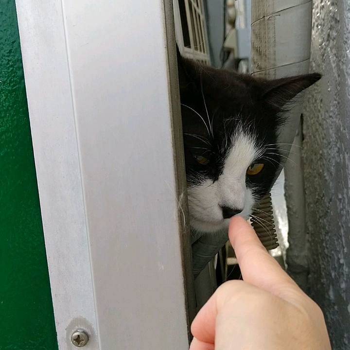 Bbc365d0 37d4 43f2 94eb 19ebff186722 1591399271850