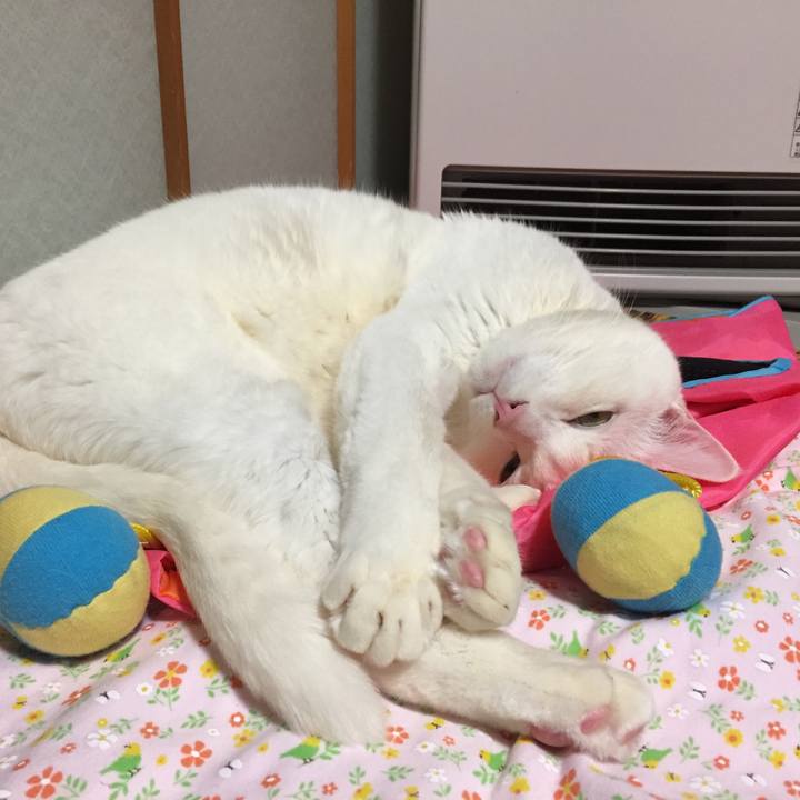 Bbc369c5 1989 4ace abea c751a6d2a5c9 1519007791001