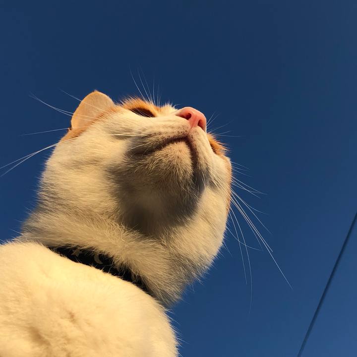 Bbc39bc7 b0fd 4c1b 99ce ad7a6db768b1 1542004181530