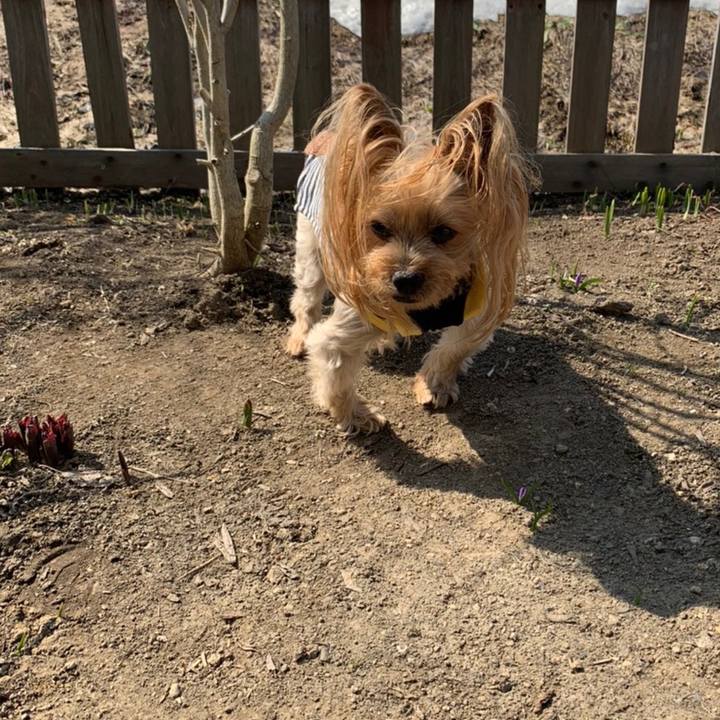 Bbc3c5d5 7936 4d34 a3ef 79cb81569c38 1618479521672