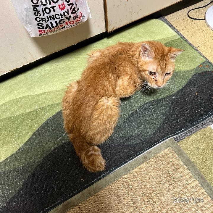 Bbc3d0b2 4a0f 47d4 ad15 dd682e390c27 1762985339089