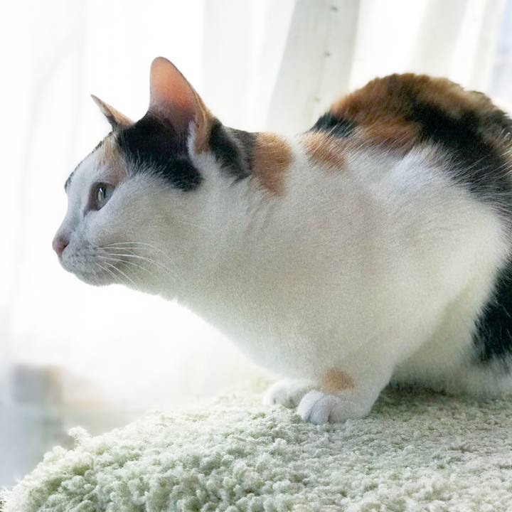 Bbc3de79 cfac 485e 9a7d c3b264536edb 1514806194945