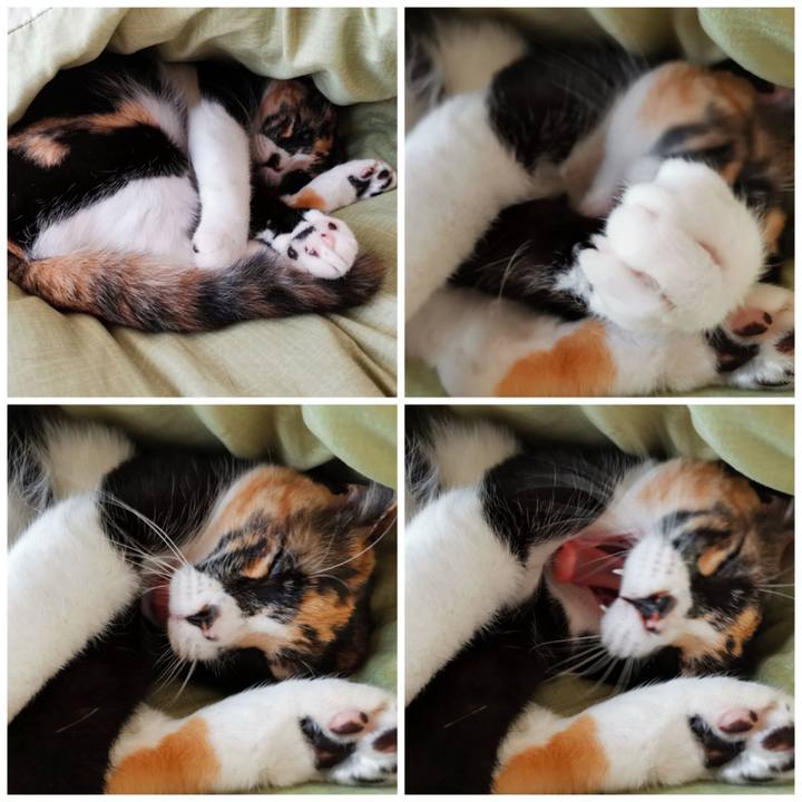 Bbc3e384 dd95 42c2 b7e2 ba5464f89fcd 1681788149878