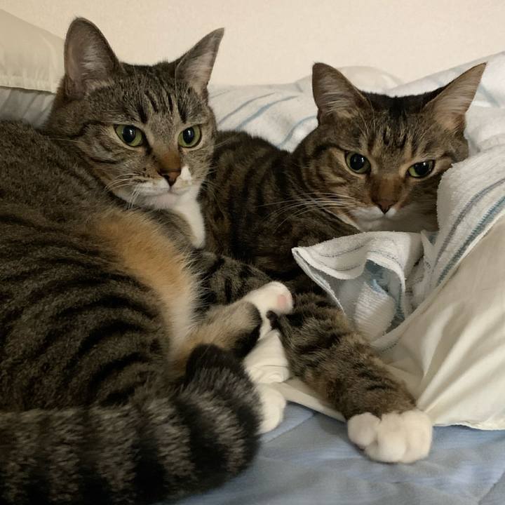 Bbc45bf7 7136 4034 ad5e 9408d209b2b2 1634300580990