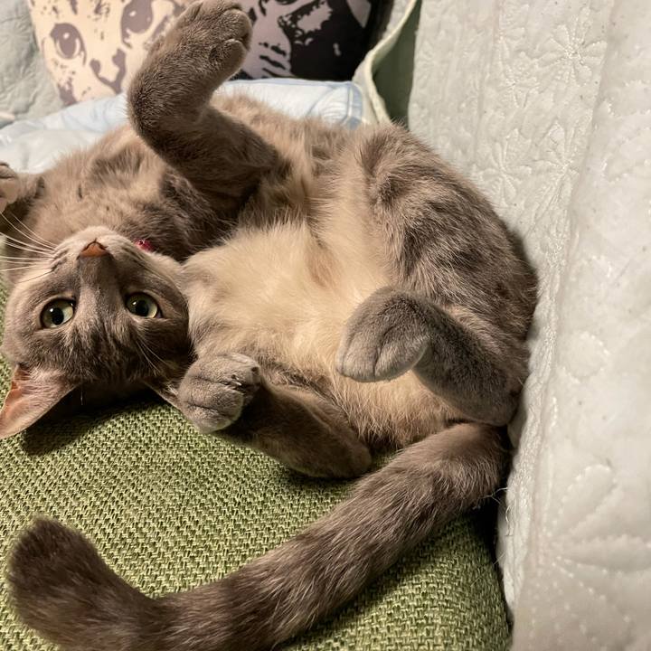 Bbc46b30 a051 438f 8f81 a982b4666b61 1625489955450