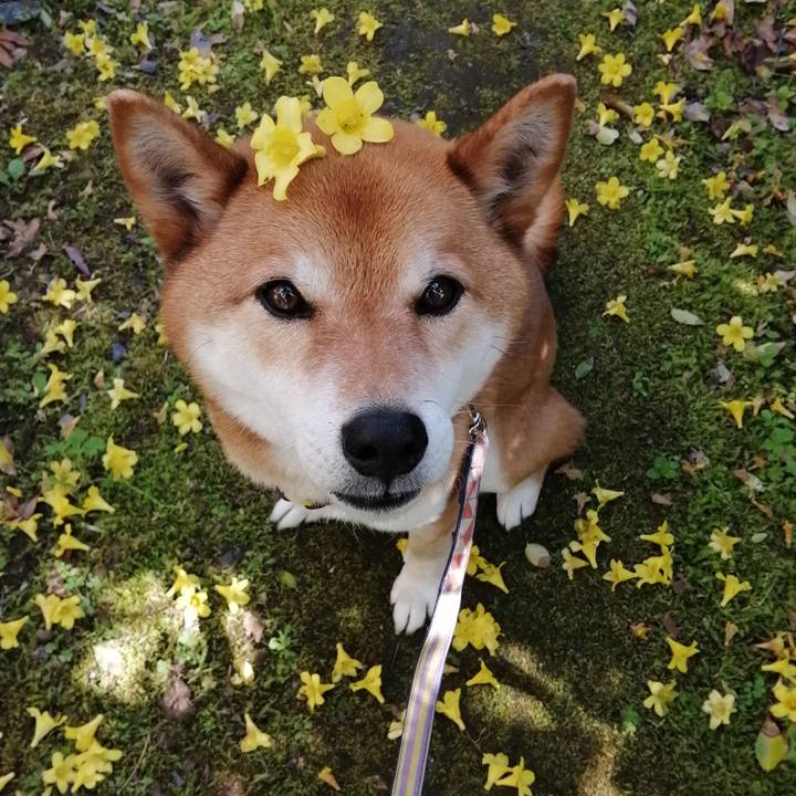 Bbc48ad5 6d5d 4727 b83c ee3fad37758f 1619740549711