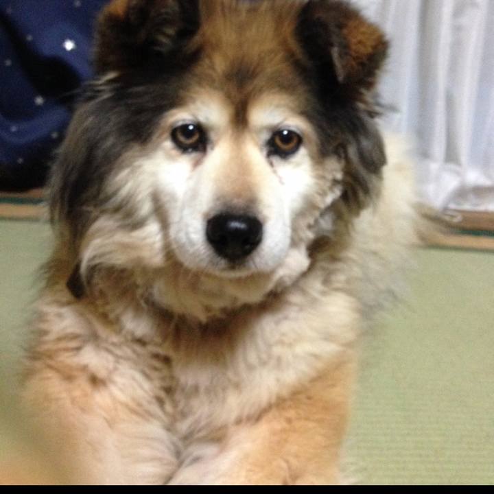 Bbc49f3f 84ef 44f3 ab2b 0987b03f78b7 1588551807733