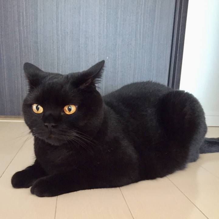 Bbc4a6b8 ac77 4132 8b8c 03f1bfa62afe 1563664656526