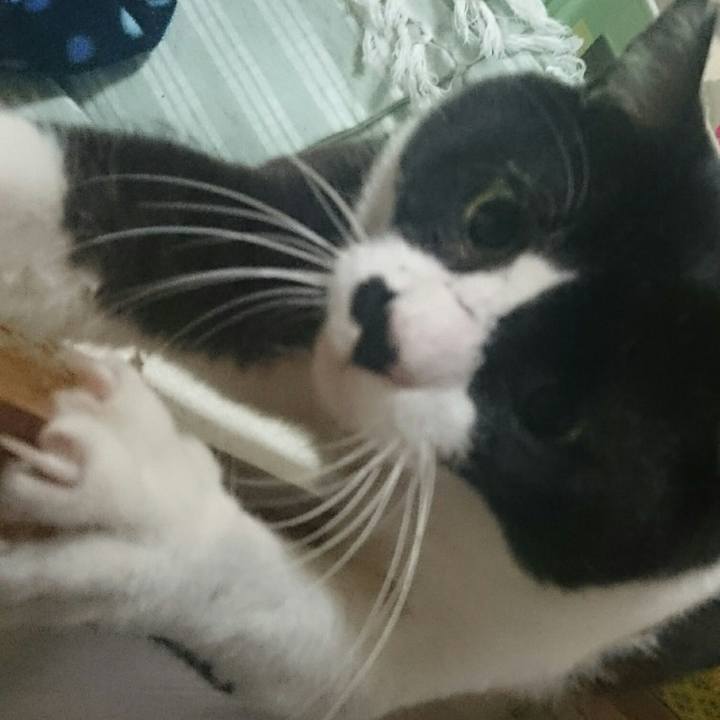 Bbc4abc5 9839 44af 870e cc3de5d6924d 1511821189023