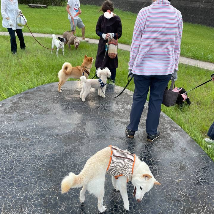 Bbc4abda c0ee 4316 b8d2 2bd5e9a23bca 1655982565259