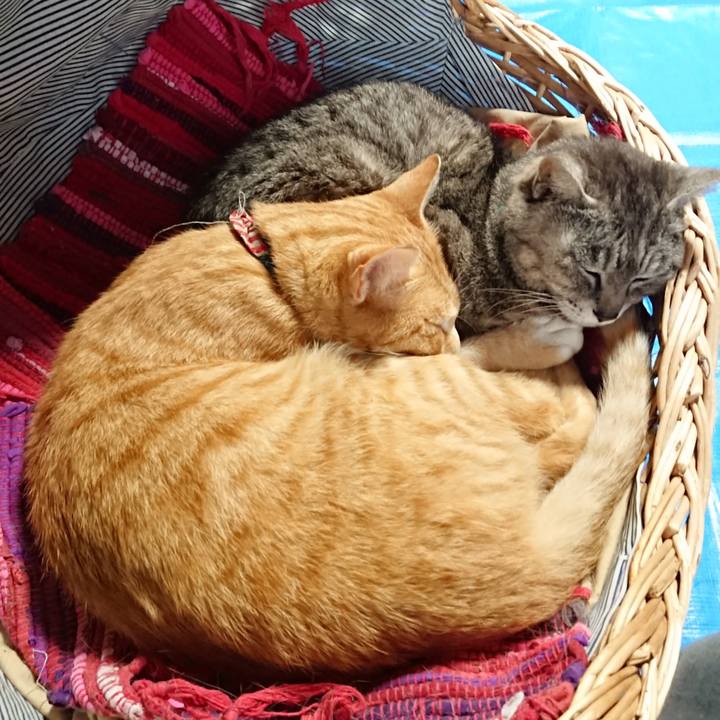 Bbc4c924 cf54 48c2 8a4f 684447d31b23 1561789574675