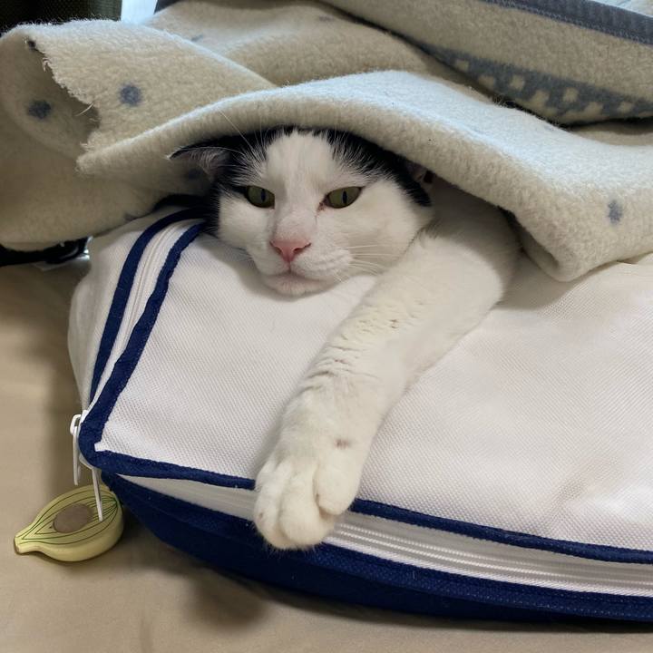 Bbc52023 cf35 4f37 ab77 614e5ca78d8d 1661056504772