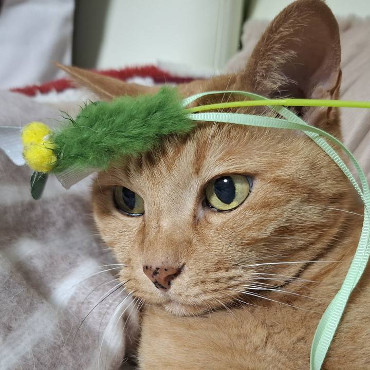 Bbc52d13 57c2 49e8 b909 f40b3b0fd213 1748044372366