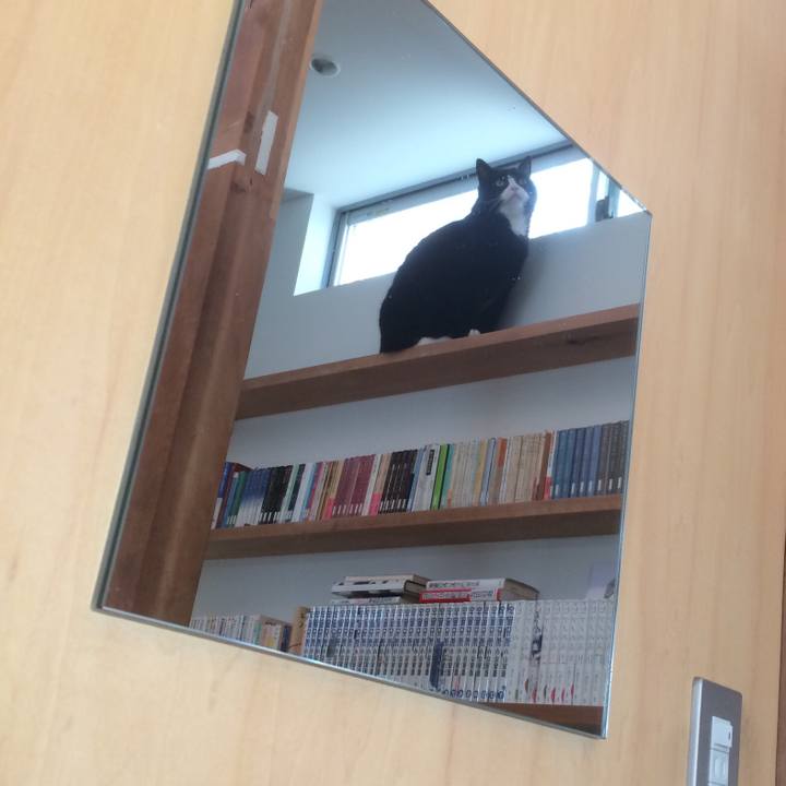 Bbc52f63 276d 430f a6a5 c6082085d638 1519777725075