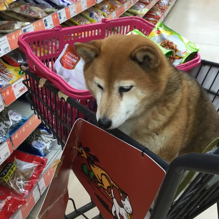 Bbc53347 83a2 4f54 9799 e31f07413f91 1620875925421