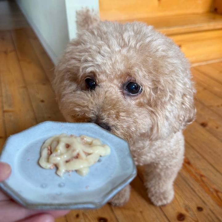 Bbc54b69 81d6 4563 bd07 bce3ae5949c7 1761964699941