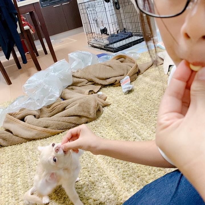 Bbc550c2 285b 43ce 8ae6 c669dff8790f 1592869023687