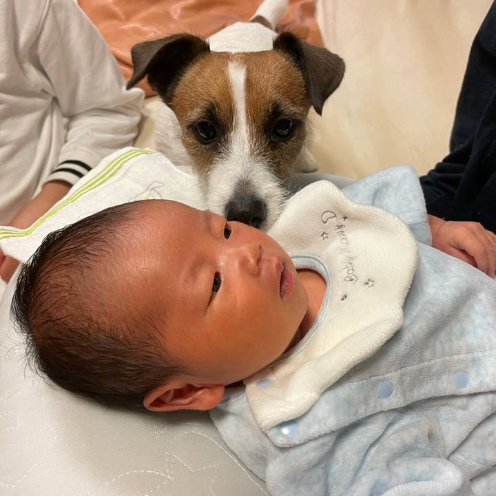 Bbc568ac 821d 4107 ad0d a2218ad8f811 1700909971547