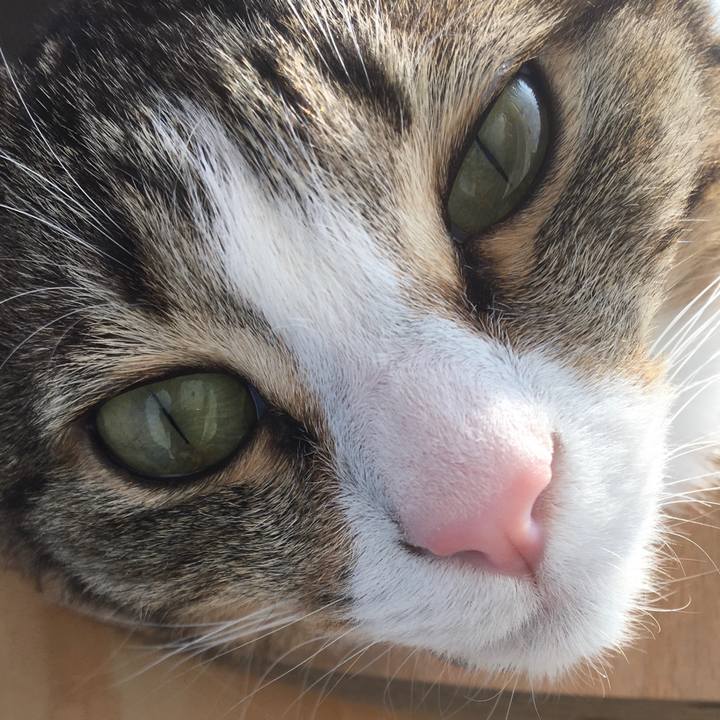 Bbc58156 4a62 4332 b55b 091ec755e5c2 1679701158066