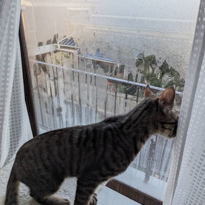 Bbc5836f a25d 4ff9 9172 765fa58fa9b9 1707800458804