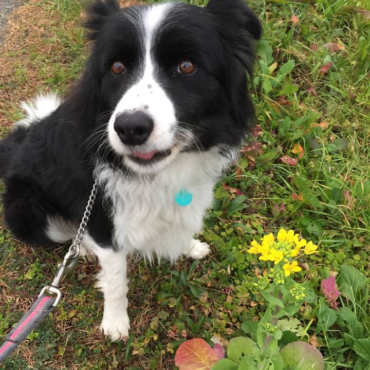 Bbc58760 6243 4adb 8884 e4e4b723fbf1 1578699219738