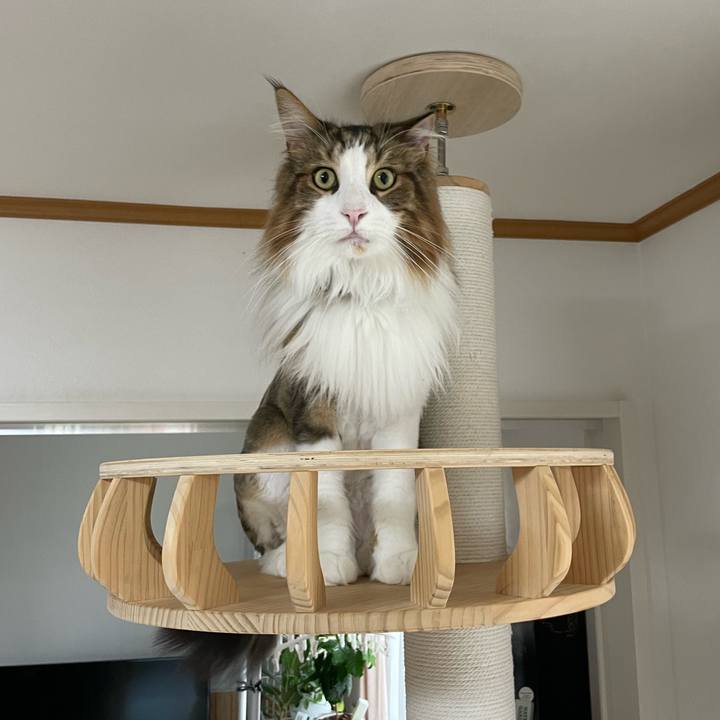 Bbc58b01 1979 4654 989b a99e563fded1 1688672990548