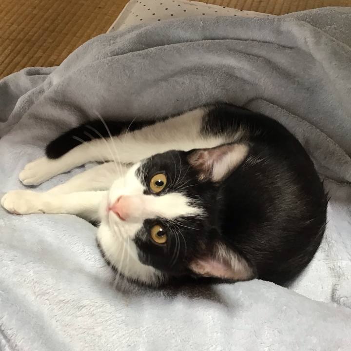 Bbc59514 65c5 49a9 befe a1dae0689dfb 1631072977067