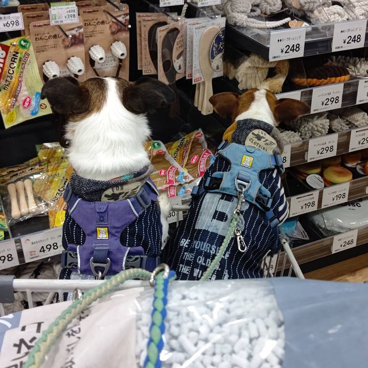 Bbc5c7c2 293b 4229 8880 ee598f682848 1645620338103