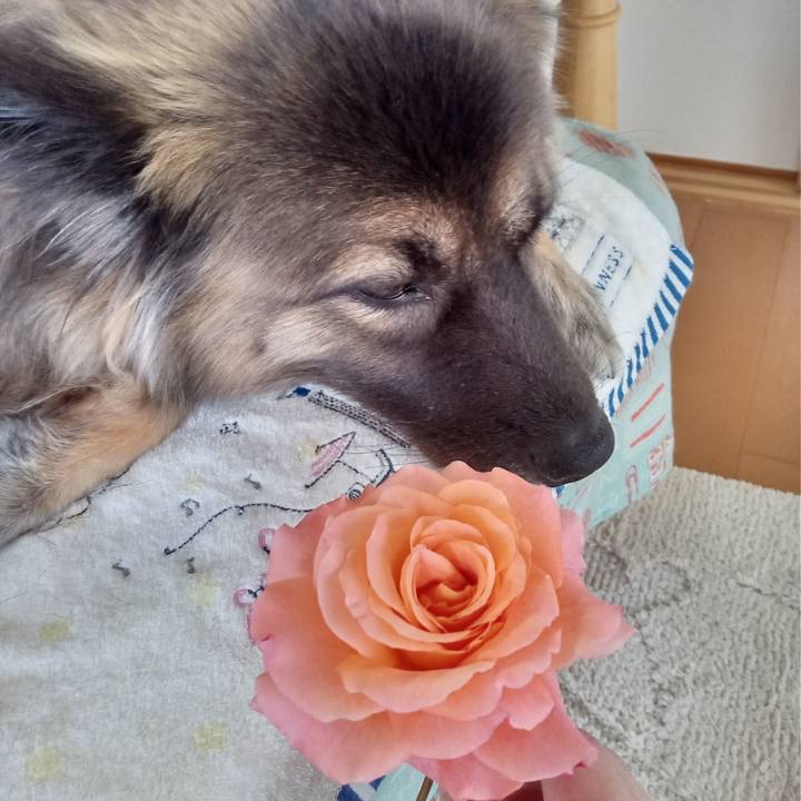 Bbc5f727 f5b2 4601 876f 2576d4673210 1764028655948