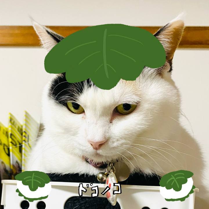 Bbc60f44 b284 42c1 bea2 3c4e36bae806 1749209702320