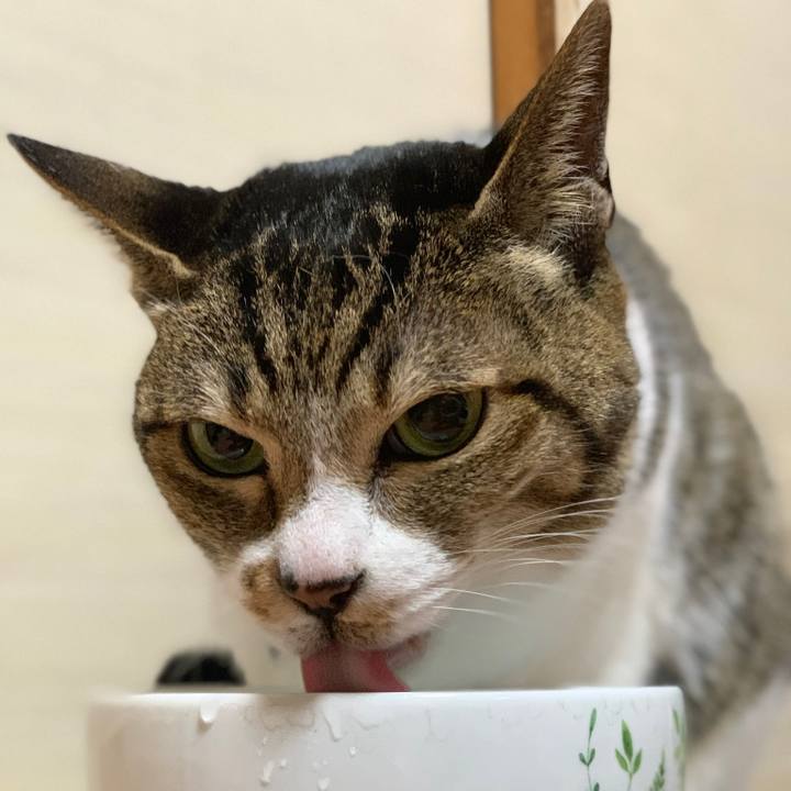 Bbc617f8 4b55 4015 92ad eede31148c1b 1579139647091