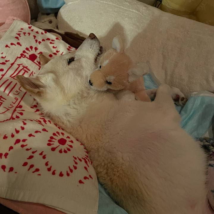 Bbc671d8 936e 478e becb 86e179964355 1679316055228