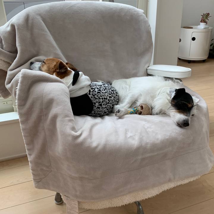 Bbc67e89 fe69 4a9d 9566 20e44fce9a50 1582602060452