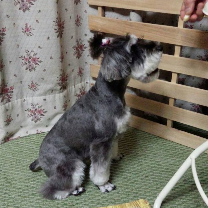 Bbc68269 2fc5 4c76 a917 4c39bfbc6e30 1510841157848