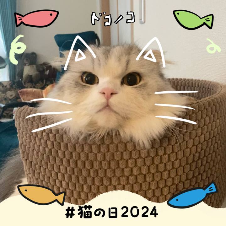 Bbc6878e 132c 4e4a 84d8 e5c1dd430f87 1708607462918