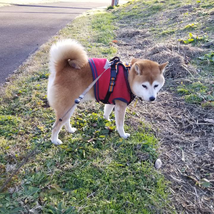 Bbc68e9d c3b6 4e8e bfe3 9ce82151e88c 1607492489263