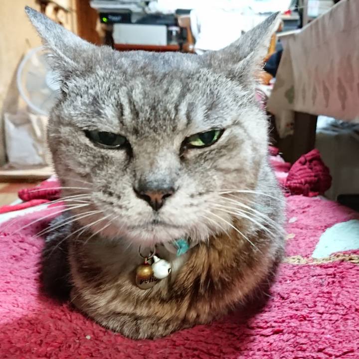 Bbc6a1f0 973a 494c 855c f5d24b5eb63d 1566214938071