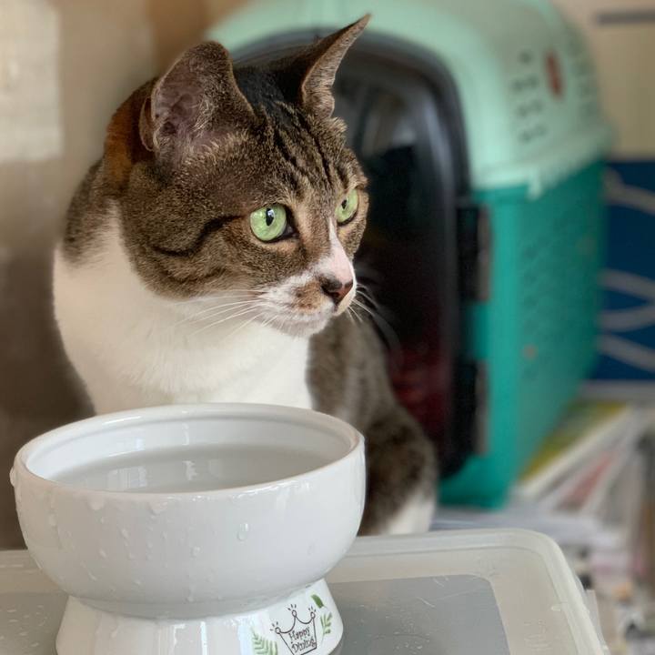 Bbc6ac6d 235d 48cc 9650 6089e19994ce 1561161270187