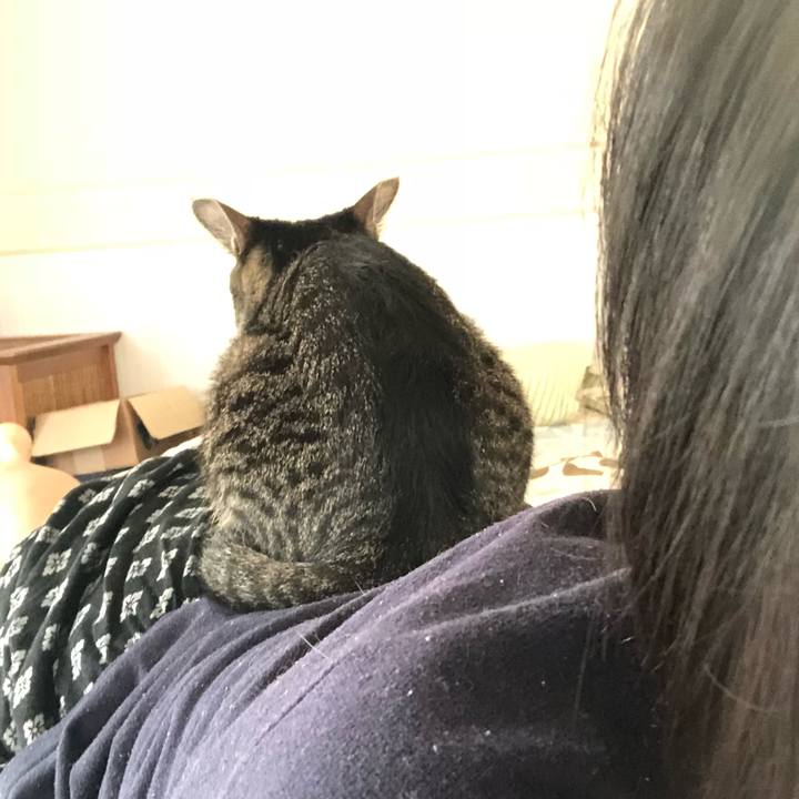 Bbc6ed04 4df5 4e83 a6cc e2994cf382a0 1528783010232