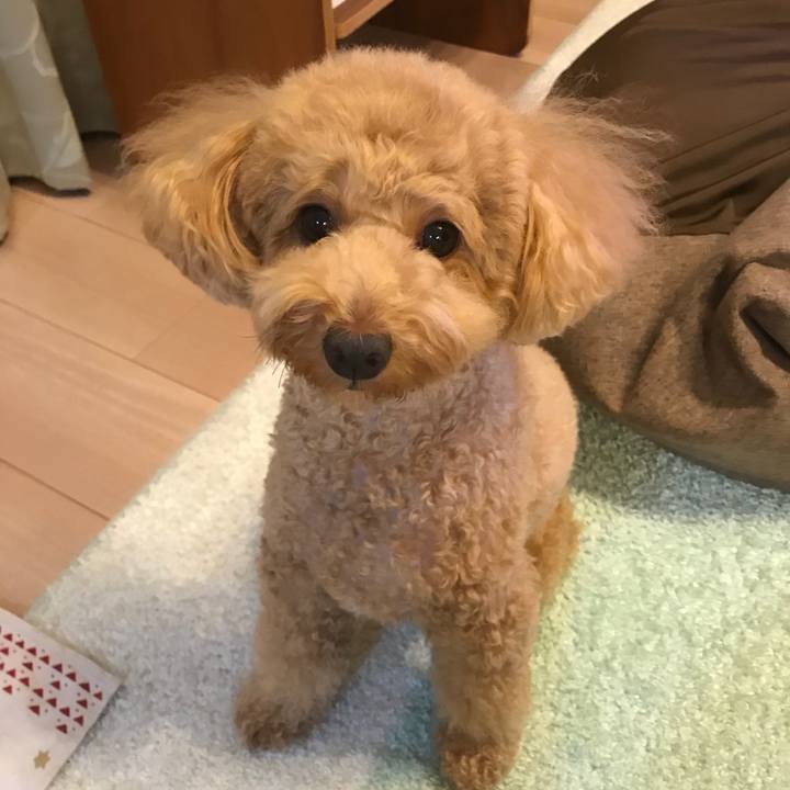 Bbc6fb49 4571 4beb b763 01dff1131c2e 1533551708862