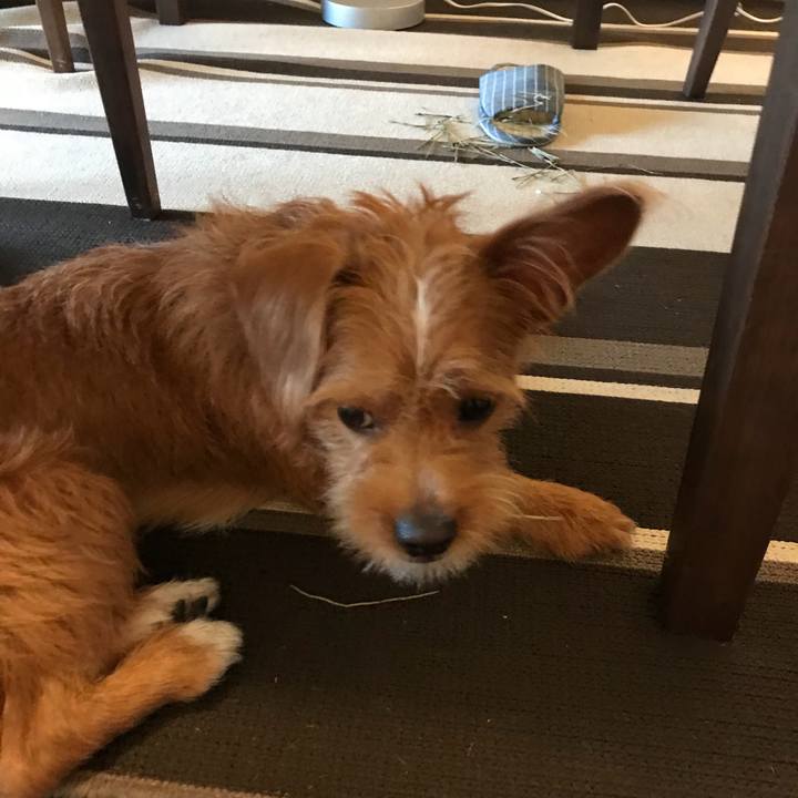 Bbc704e2 57f5 41f0 a9b8 acd203e57125 1535957985899