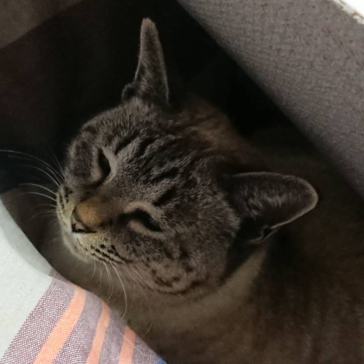 Bbc716f3 3735 45e1 b899 30178bb7816a 1549552026650